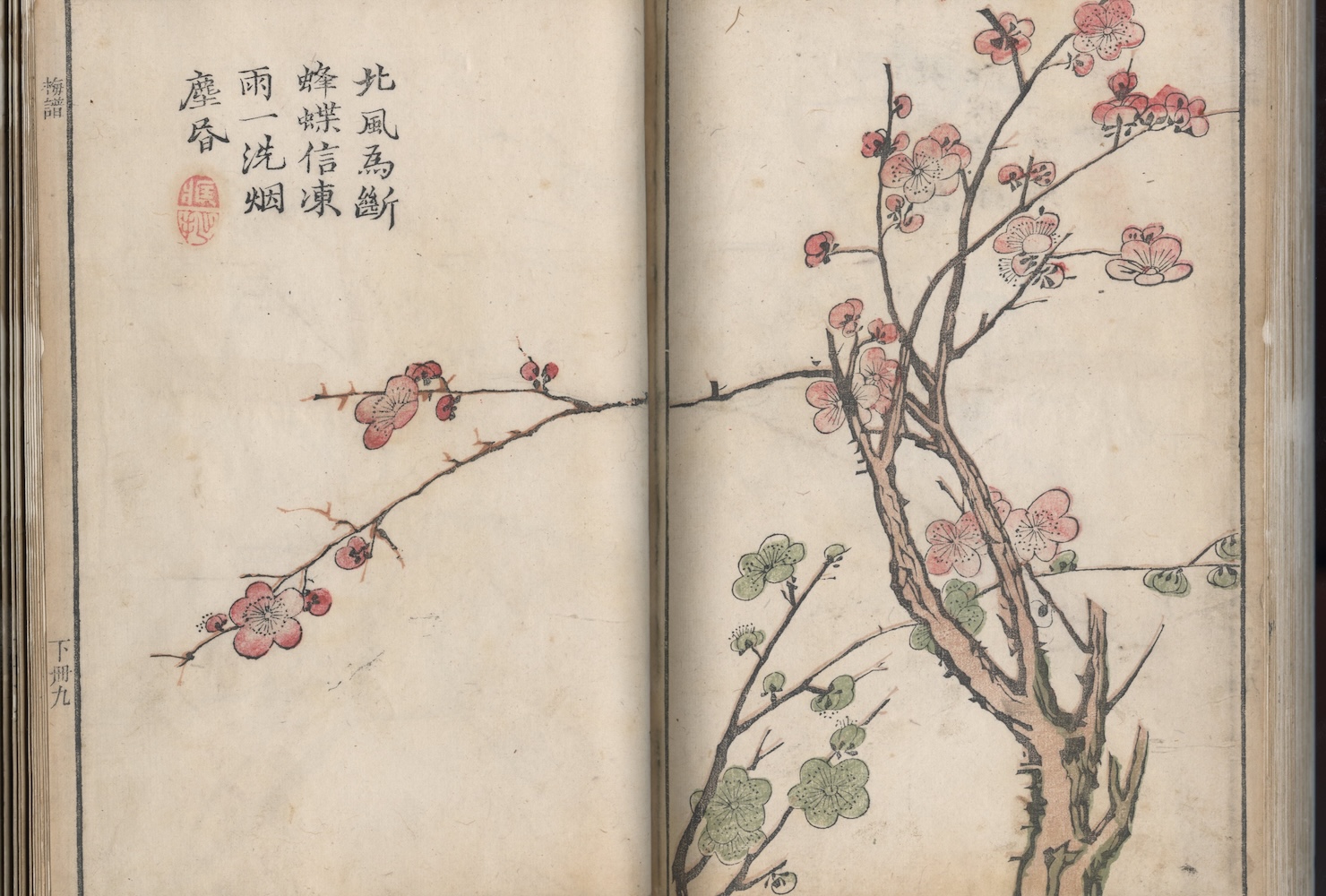 Eastern Asian painting of mustard seed garden blossoms